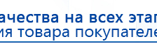 ДЭНАС-ПКМ (13 программ) купить в Березняках, Аппараты Дэнас купить в Березняках, Дэнас официальный сайт denasdoctor.ru